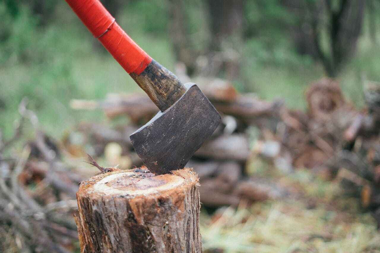 Emergency Storm Tree Removal in Succasunna, NJ